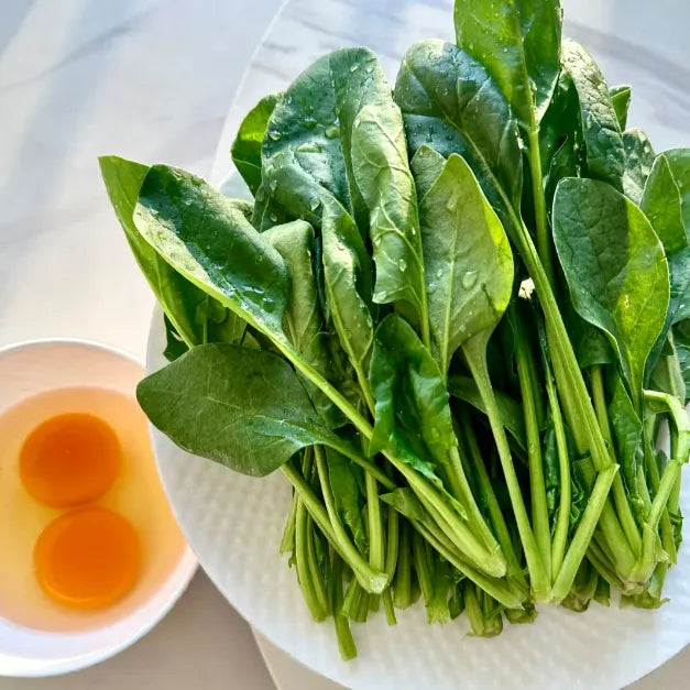 🥬Four Seasons Red Stem Spinach - The Eggs of Vegetables