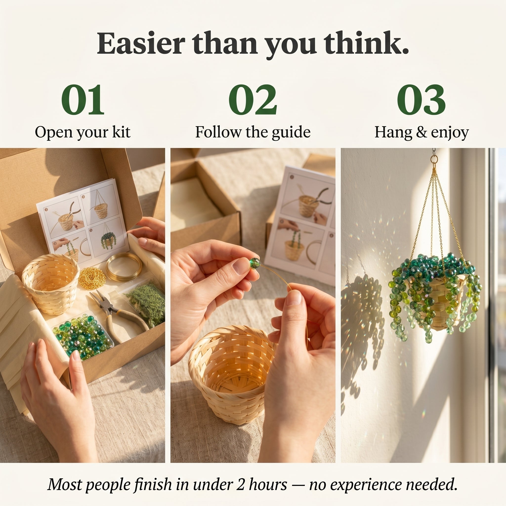 Plant Suncatcher DIY Kit