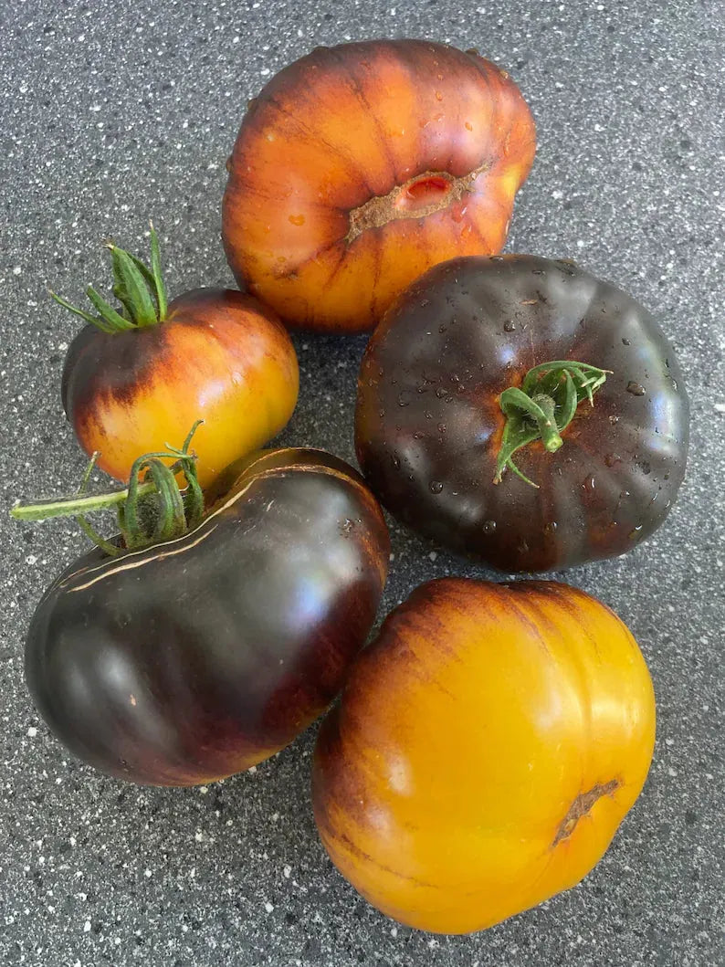 Lucid Gem Tomato Seeds Organic. Heirloom Tomatoes