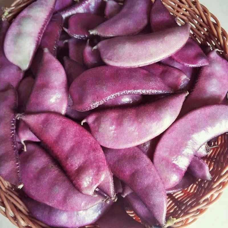 Mangetout Peas: A Garden Delight