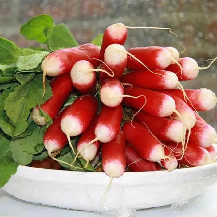 Thumb Fruit Radish Seeds