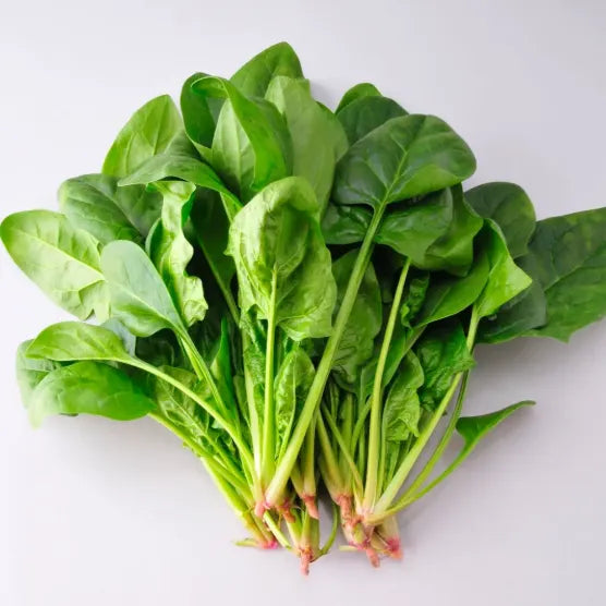 🥬Four Seasons Red Stem Spinach - The Eggs of Vegetables