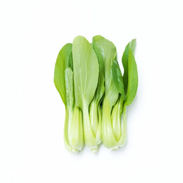 All year round 200pcs Chinese cabbage seeds