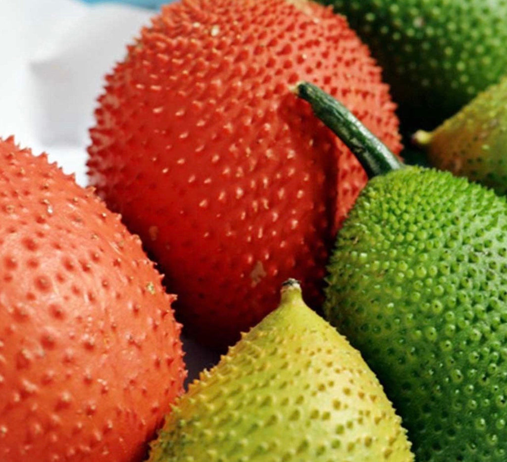 Gac fruit seeds. Gac Melon Vine Momordica Cochinchinensis seeds