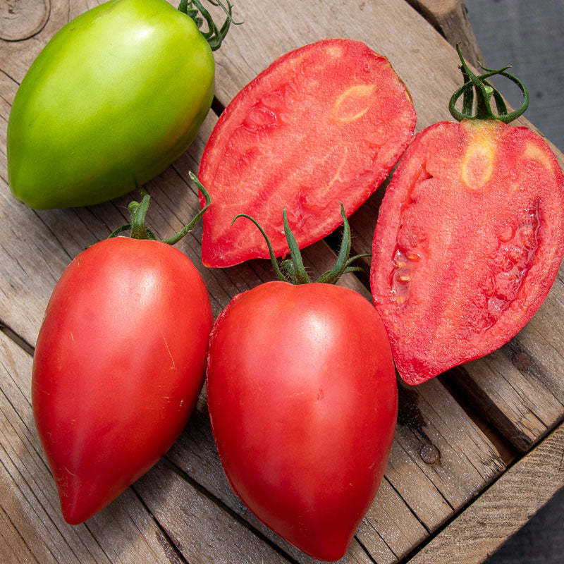 MANGO HONEY TOMATO SEEDS