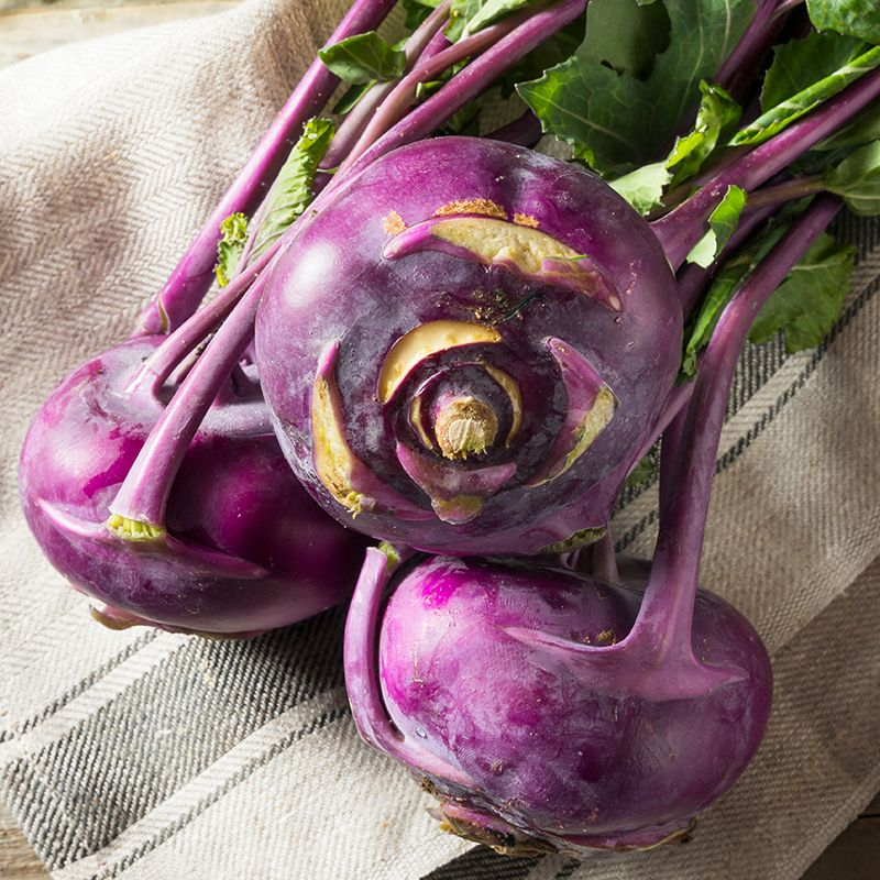Purple Kohlrabi Seeds (Organic)