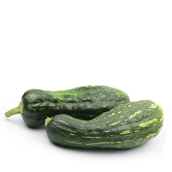 Pumpkin Naples Squash Seeds – Long Fruit. Sweet Flesh & High Yield