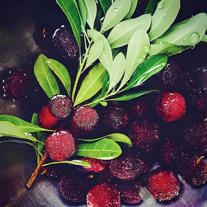Himalayan Crystal White Bayberry Seeds