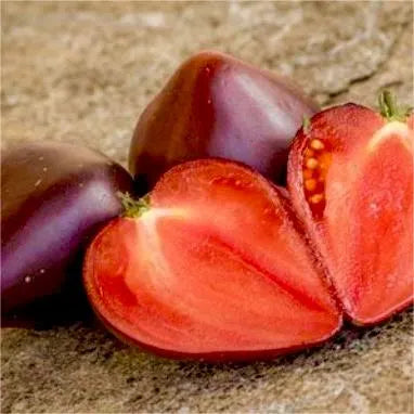 Sgt. Pepper's Tomatoes Seeds - Heirloom