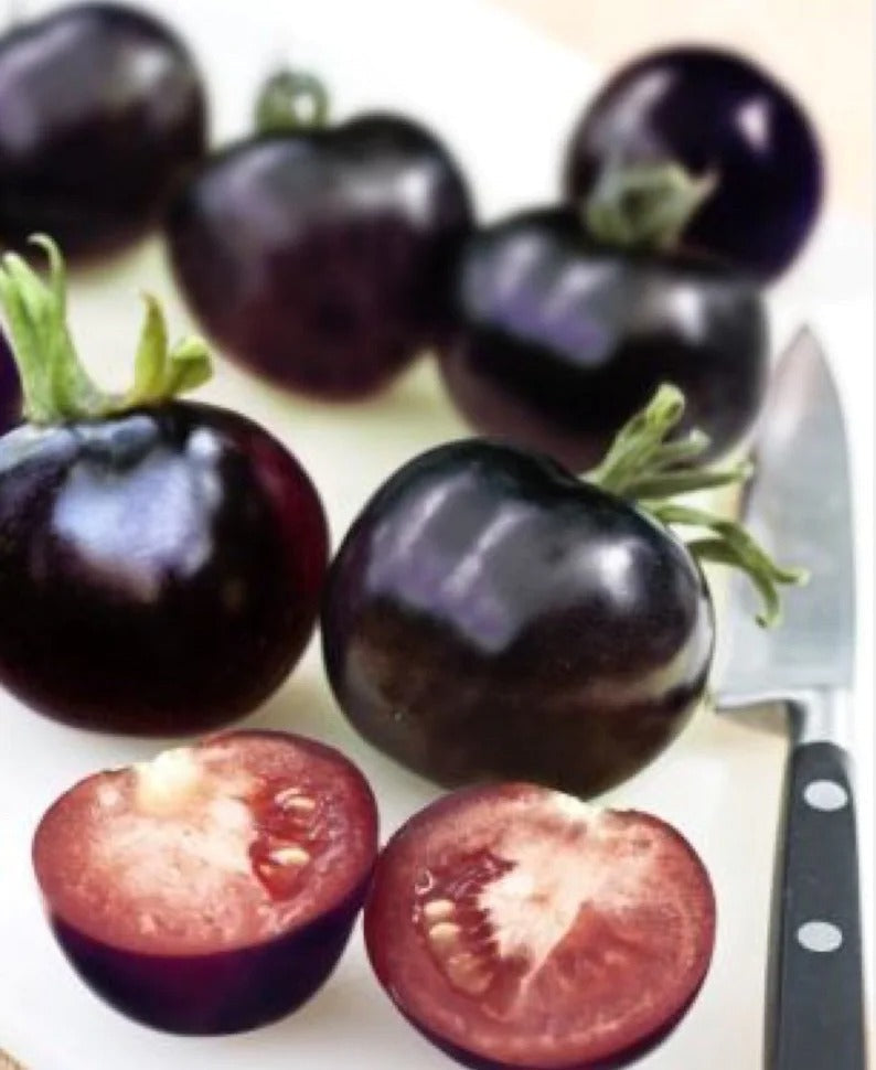50/100 Organic Indigo Rose Tomato Seeds. Heirloom. Non-GMO. Solanum Lycopersicum
