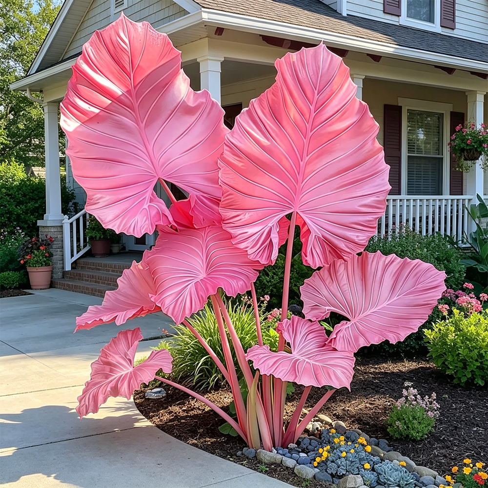 🌈 Giant Caladium Bulbs 🎊The color wizard that creates a dream garden 🌿✨
