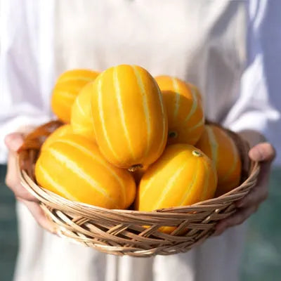 Golden Melon Seeds