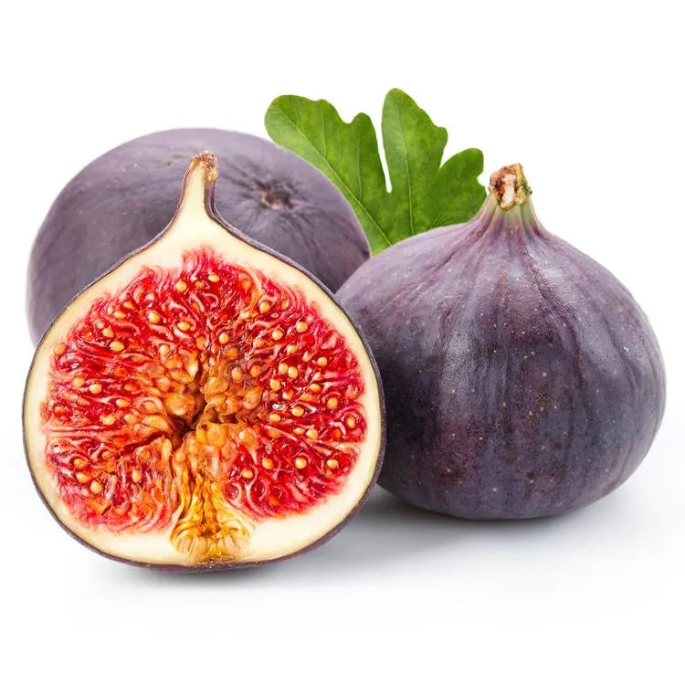 Fig Tree Seeds (Ficus carica). Sweet Fruit Shrub